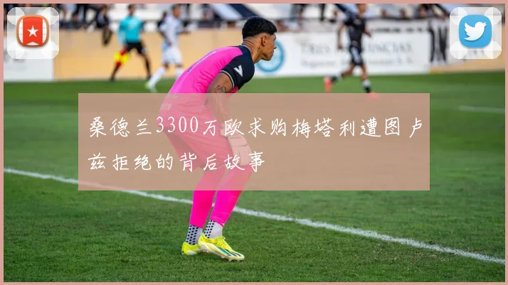 桑德兰3300万欧求购梅塔利遭图卢兹拒绝的背后故事